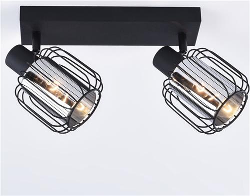 Plafondlamp met rookglas en draaibare spots, 2-lichts - Dua