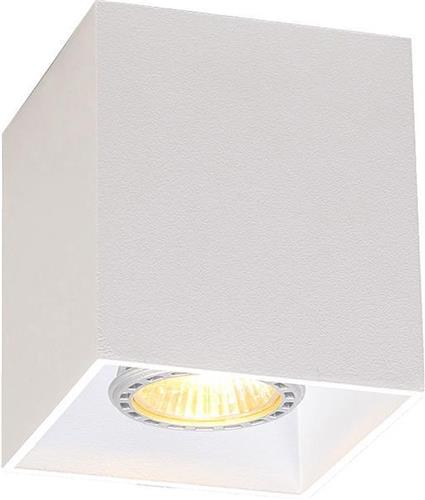 QAZQA qubo - Moderne Dimbare LED Smart Plafondspot | Spotje | Opbouwspot incl. wifi met Dimmer - 1 lichts - L 83 mm - Wit - Woonkamer | Slaapkamer | Keuken