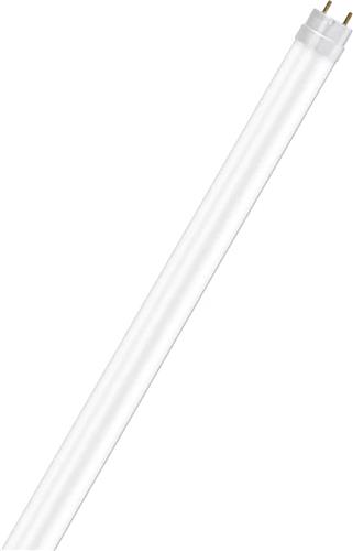 Ledvance - LED Buis T8 Value (EM/Mains) Standard Output 6.6W 800lm - 6500K 865 - daglicht wit | 60cm - Vervangt 18W
