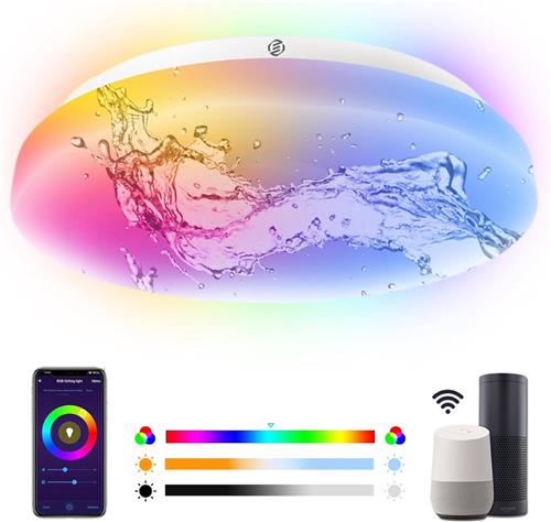 Equivera Plafonaire Lamp - Lamp - Plafond Lamp - Plafonnaire Lamp - Plafondlamp