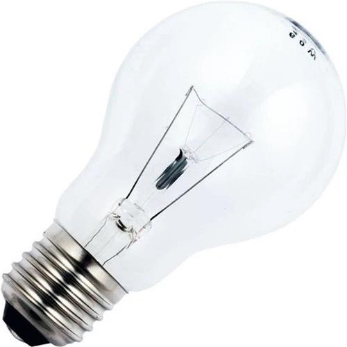 Schiefer E27 Gloeilamp | 100W 2700K 1400lm 42V | Dimbaar