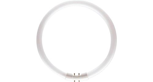 Philips Master TL5 Circular 22W/840 2GX13