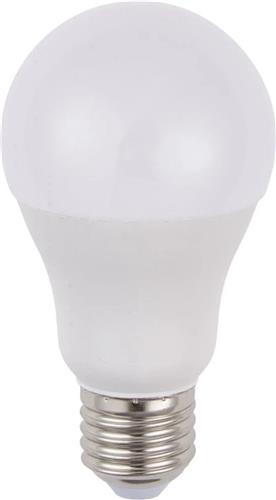 SPL LED lamp - 10W (mat) Voltage: 12-60V DC