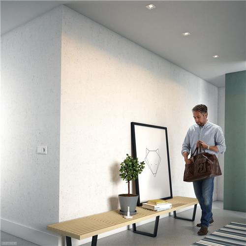 Philips Casement - Inbouwspot - 3 Lichtpunten - grijs - 3 x 500lm