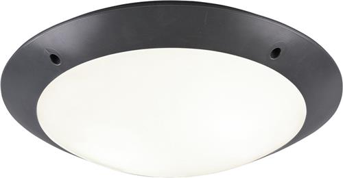 LED Plafondlamp - Badkamerlamp - Trion Camiro - Opbouw Rond - Waterdicht IP54 - E27 Fitting - 2-lichts - Mat Antraciet - Kunststof