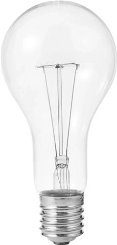 Schiefer E40 Gloeilamp | 500W 2700K 7000lm 240V | Dimbaar