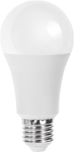 LED Lamp - E27 Fitting - 15W - Helder/Koud Wit 6500K