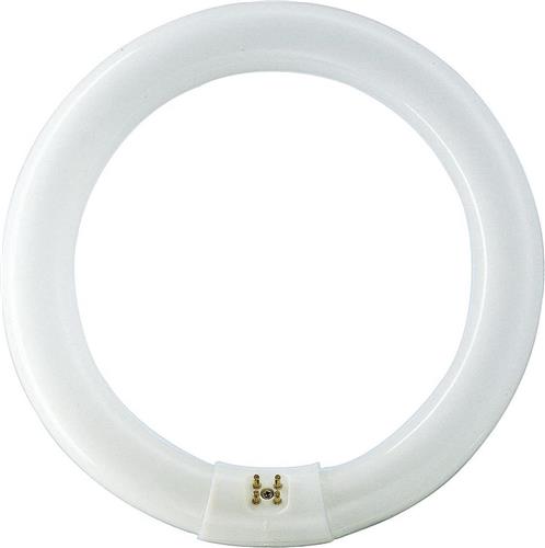 Philips Cirkel TL G10q - 32W/830 - warm wit - 4-pins
