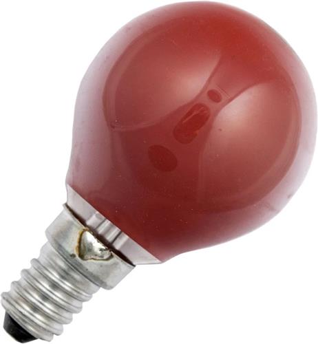 Schiefer E14 Kogel Gloeilamp | 15W Rood 10lm 220V/240V | Dimbaar