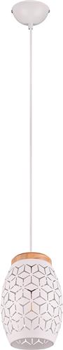 LED Hanglamp - Hangverlichting - Trion Dabi - E27 Fitting - Rond - Mat Wit - Metaal