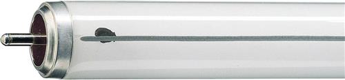 Philips TL - X XL 20W - 640 Koel Wit | 60cm