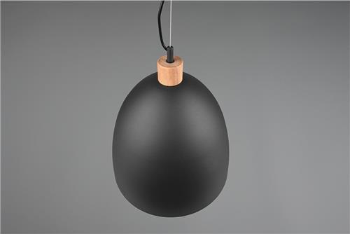 LED Hanglamp - Trion Jaguar - E27 Fitting - Rond - Mat Zwart - Aluminium - Tot 60W
