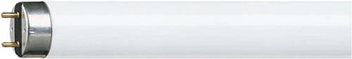 Philips 63201240 TL Spaarlamp 36W