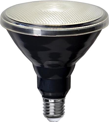 Star Trading LED lamp Spotlight Buiten, E27, PAR38, zwart, neutraal wit, buiten, IP65