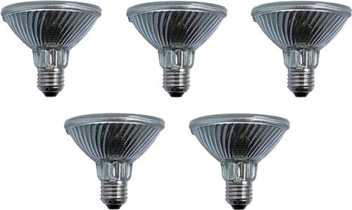 SPL | Grote fitting E27 | Reflectorlamp | Helder | 96mm | 75W