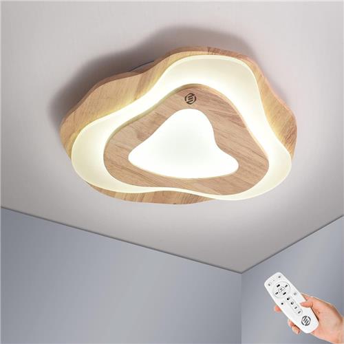 Equivera Plafonaire Lamp - Lamp - Plafond Lamp - Plafonnaire Lamp - Plafondlamp