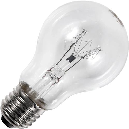 Schiefer E27 Gloeilamp | 100W 2700K 1000lm 230V | Dimbaar