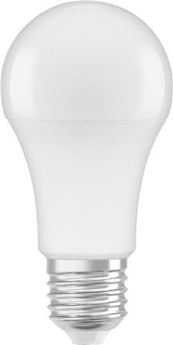 Ledvance Classic LED E27 Peer Mat 10W 1055lm - 840 Koel Wit | Vervangt 75W