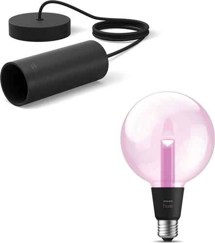 Philips Hue Lightguide Hanglamp (Zwart) - E27 - Wit en Gekleurd Licht - Incl. 1 Hue Lightguide Globe Lamp Groot (G125) - Hue White and Color Ambiance
