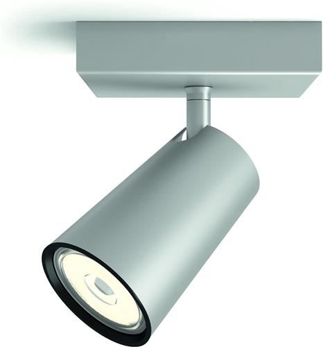 Philips Paisley - Opbouwspot - 1 Lichtpunt - aluminium
