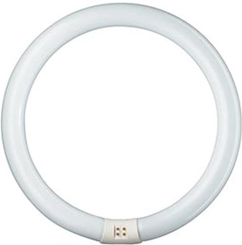 Philips MASTER TL-E Circular Super 80 32W - 840 Koel Wit | 30cm