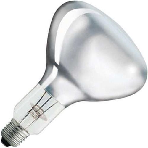 Philips | Grote fitting E27 | 125mm | 300W