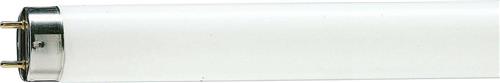 Philips MASTER TL - D De Luxe 58W - 965 Daglicht | 150cm
