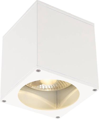 SLV buiten plafondlamp Big Theo Out - wit