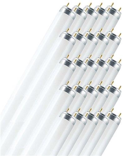 Osram L 36 W/830 fluorescente lamp